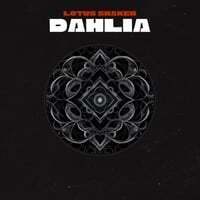 Dahlia